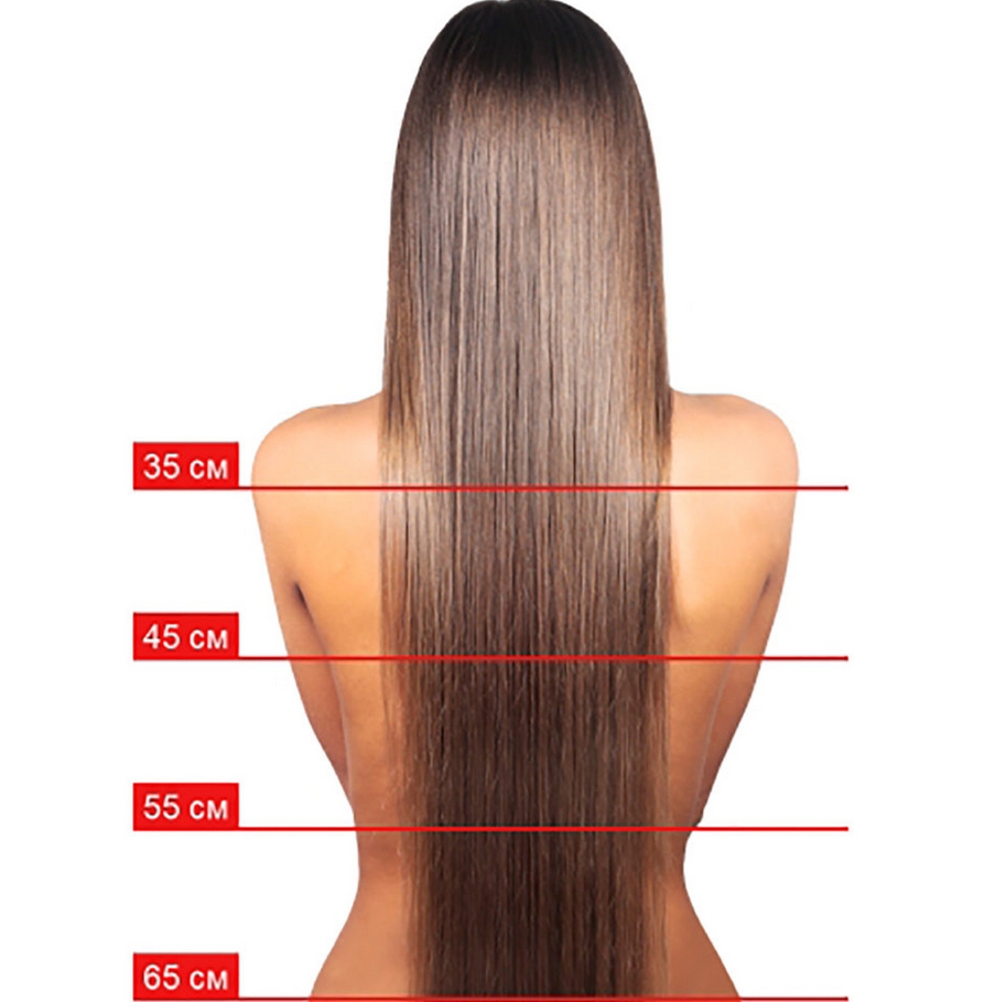 длина натуральных волос и их стоимость